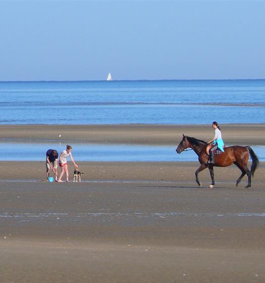 Hotel Saint James Trouville